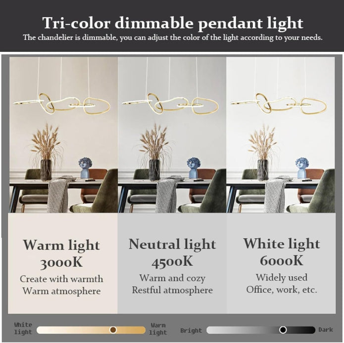 BAMDECOR A24126 Nordic Minimalist LED Pendant Light Adjustable Modern Ring Chandelier for Dining Room and Bar (Black) 1.2 Meters