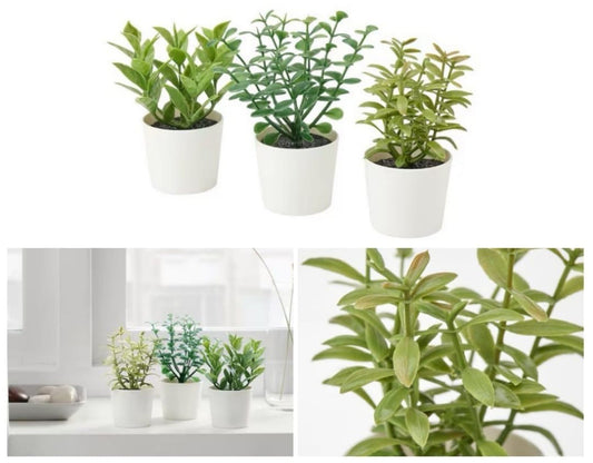 3 Pack of Artificial Herb Potted Plants in White Plastic 5cm Pots
