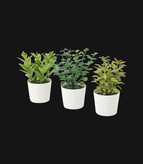 3 Pack of Artificial Herb Potted Plants in White Plastic 5cm Pots