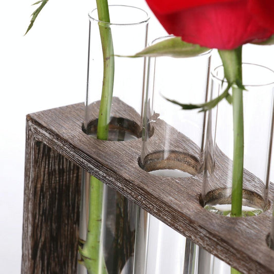 Minimalist Hydroponic Glass Vase with Wooden Frame for Coffee Shop Decor