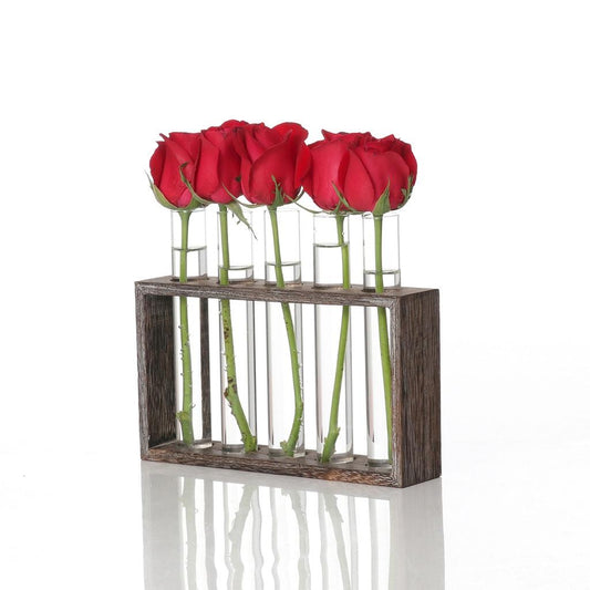 Minimalist Hydroponic Glass Vase with Wooden Frame for Coffee Shop Decor