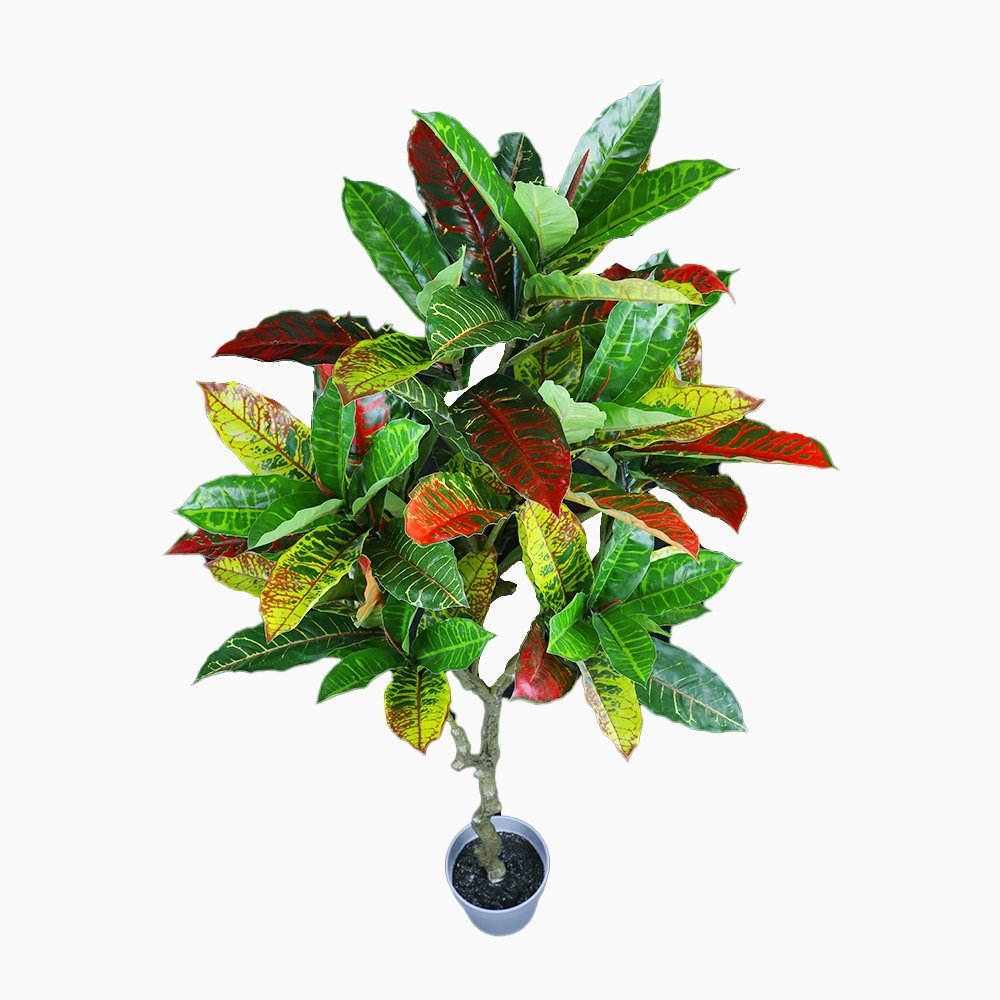 125cm Faux Artificial Potted Codiaeum Plant