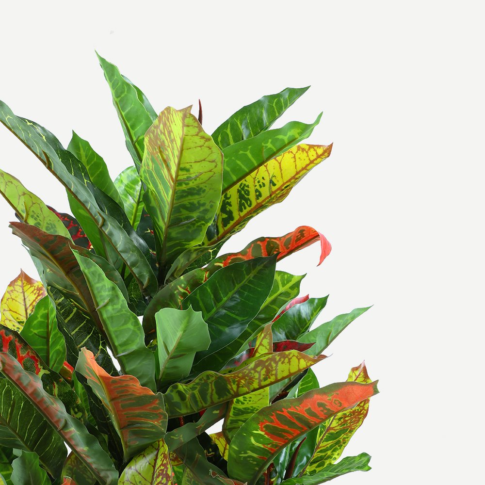 125cm Faux Artificial Potted Codiaeum Plant