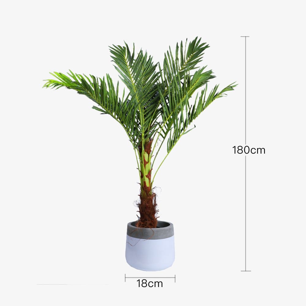 180cm Phoenix Palm - Artificial Plant