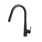Kitchen Mixer Tap Pull Out Round 2 Mode Sink Basin Faucet Swivel WELS Black