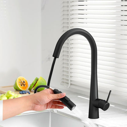 Kitchen Mixer Tap Pull Out Round 2 Mode Sink Basin Faucet Swivel WELS Black