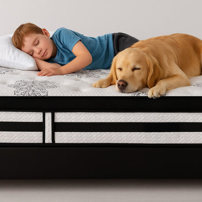 KINGSTON SLUMBER Luxury 34cm Single Mattress, Medium Firm, Euro Top, 5-Zone Pocket Spring Foam