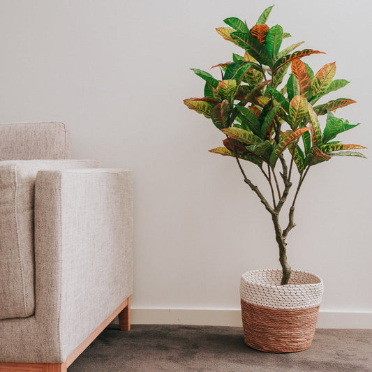 125cm Faux Artificial Potted Codiaeum Plant